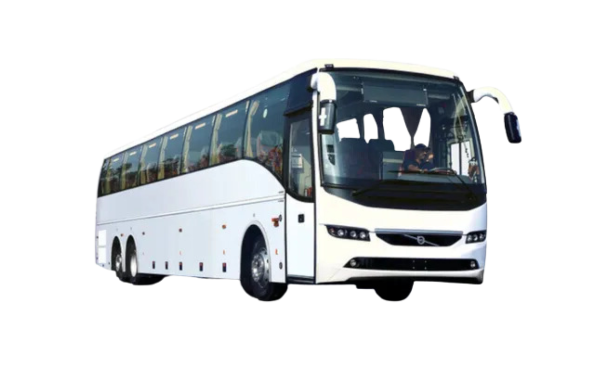 Categoria D